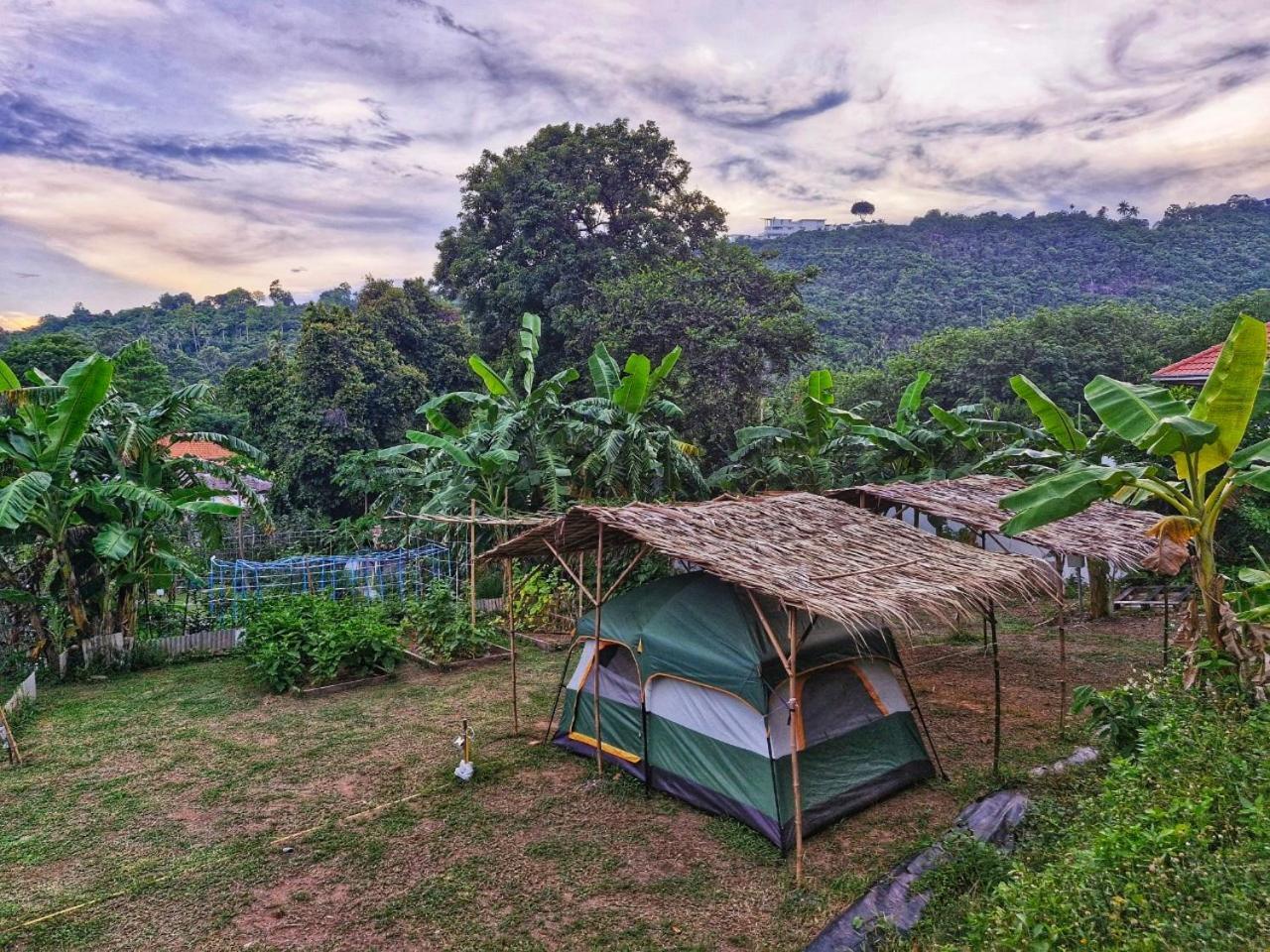 Samui Camping Farm レームソー エクステリア 写真